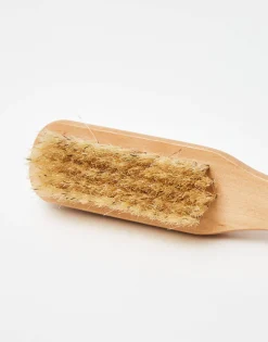Cepillo Con Piedra Pómez