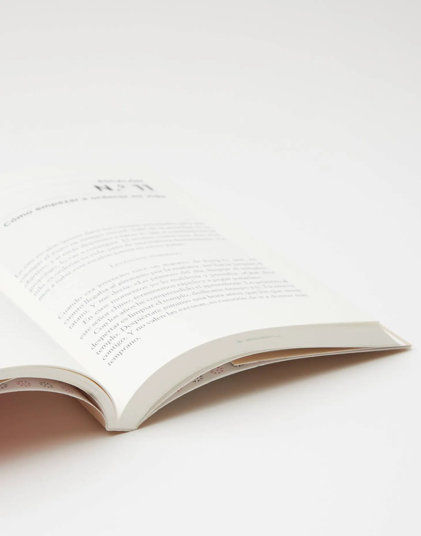 El Pequeño Gran Libro De La Ansiedad