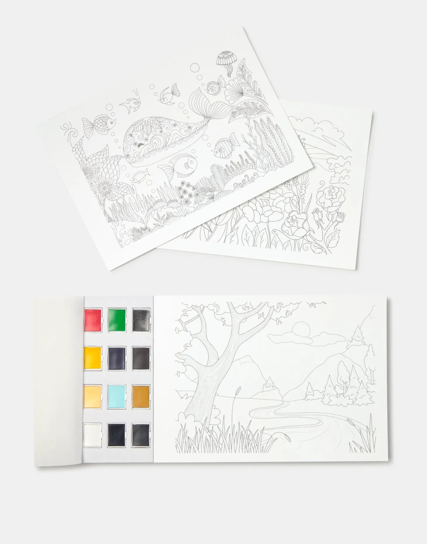 Set Libro Para Acuarela Y Acuarelas